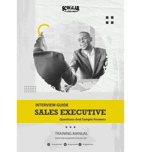 Sales Executive Interview Guide