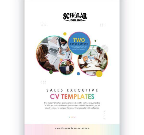 Sales Executive CV Templates
