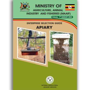 Apiary Enterprise Selection Guide