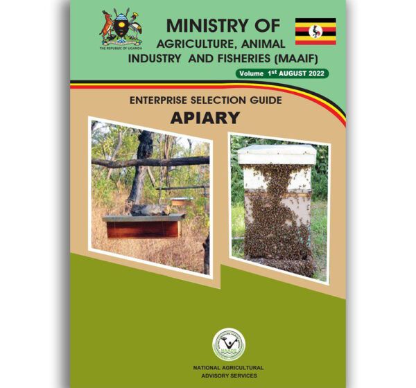 Apiary Enterprise Selection Guide