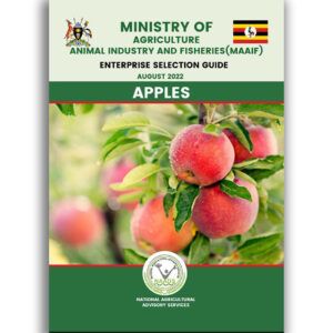 Apples Enterprise Selection Guide