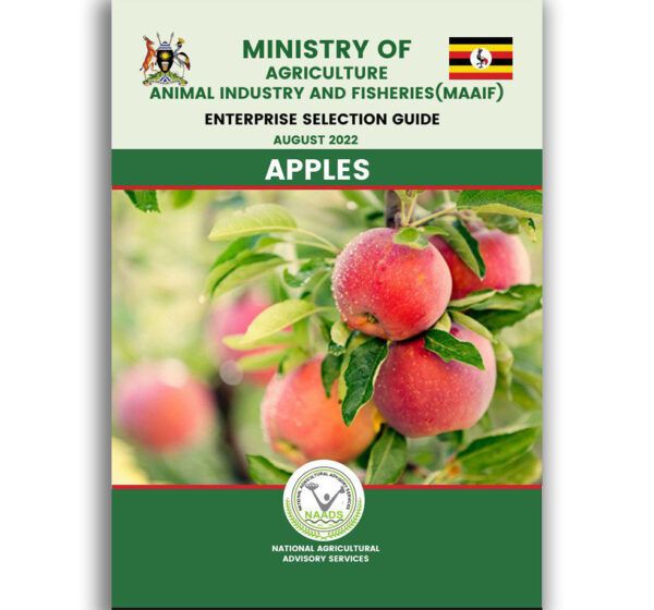 Apples Enterprise Selection Guide