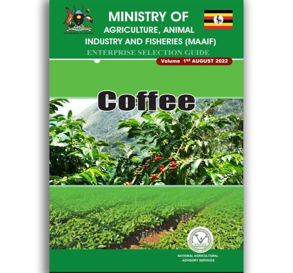 Coffee Enterprise Selection Guide