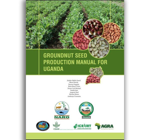 Groundnuts Production Manual