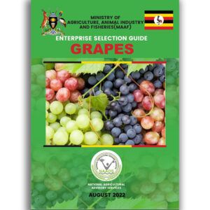 Grapes Enterprise Selective Guide