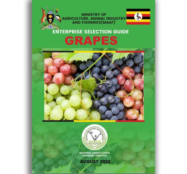 Grapes Enterprise Selective Guide