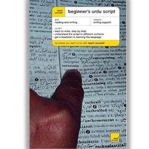 Teach Yourself Beginner's Urdu