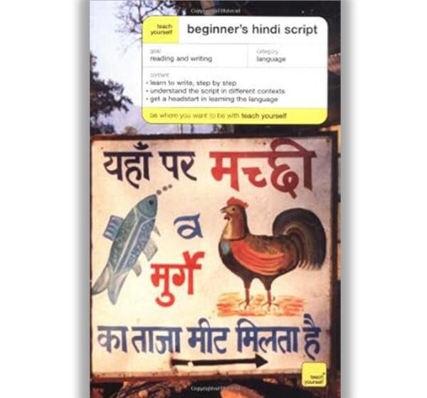 Teach Yourself Beginner's Hindi