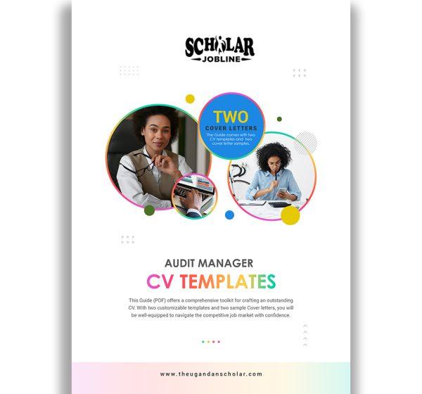 Audit Manager CV Templates