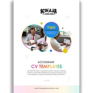 Accountant CV Templates