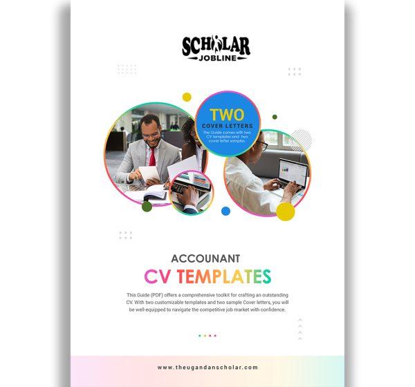 Accountant CV Templates