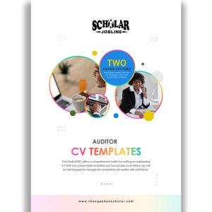 Auditor CV Templates