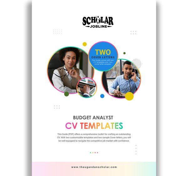 Budget Analyst CV Templates