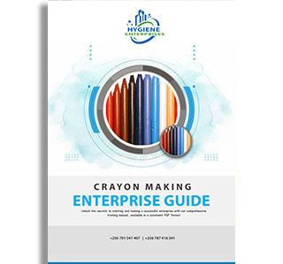 Carayon Making Enterprise Guide
