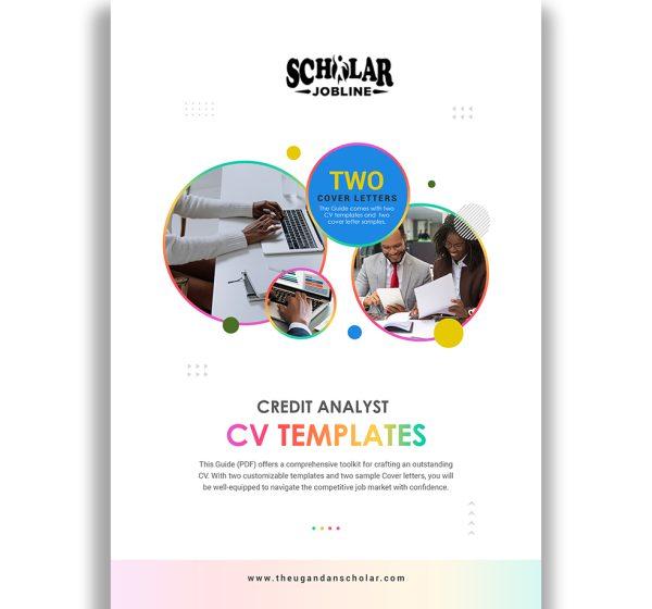 Credit Analyst CV Templates