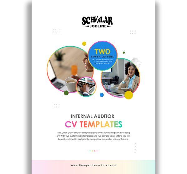 Internal Auditor CV Templates