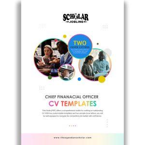 Chief Financial Officer CV Templates