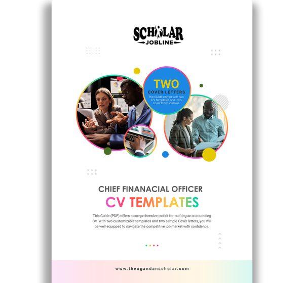 Chief Financial Officer CV Templates
