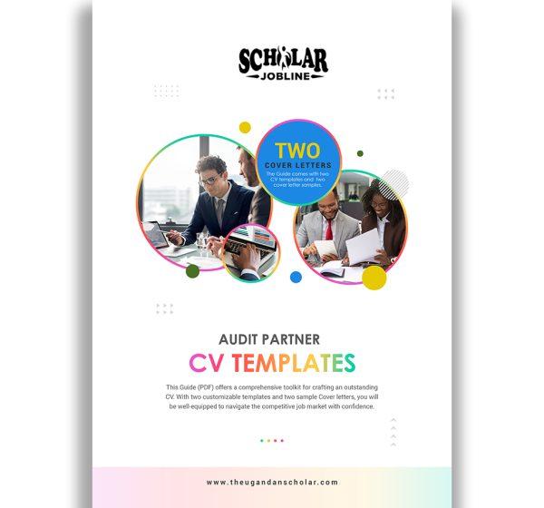 Audit Partner CV Templates