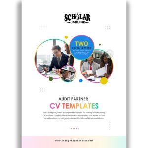 Audit Patner CV Templates