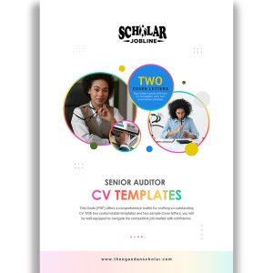 Senior Auditor CV Templates