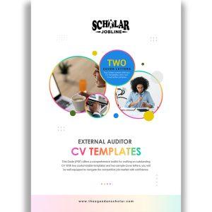 External Auditor CV Templates