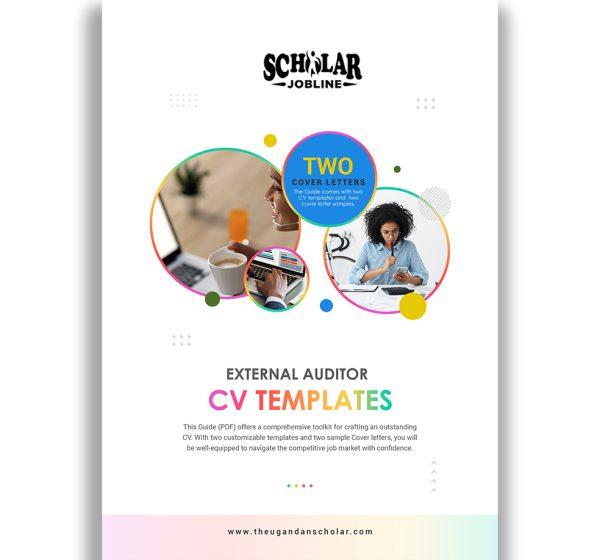 External Auditor CV Templates