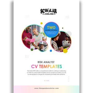 Risk Analyst CV Templates