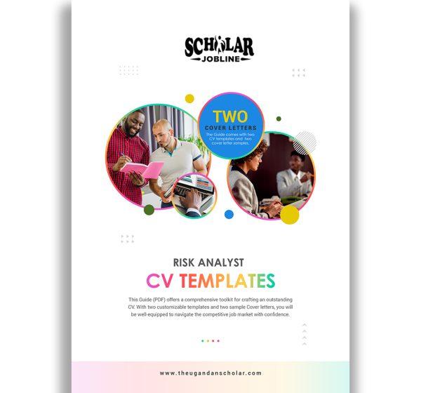 Risk Analyst CV Templates
