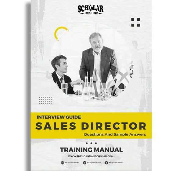 Sales Director Interview Guide